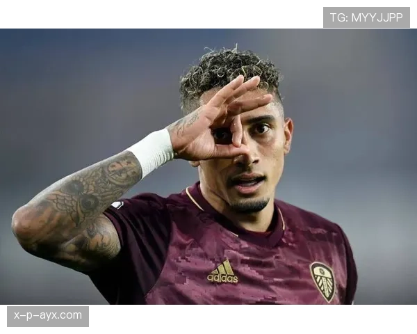 拉菲尼亚腿伤恐影响职业生涯，未来前景引发广泛关注